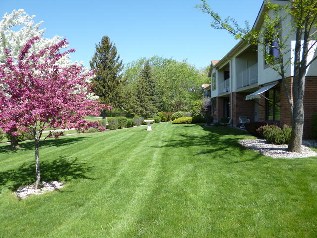 3434 Beckwith Lane, Unit 2D Crete, IL 60417 - Photo 17 of 21