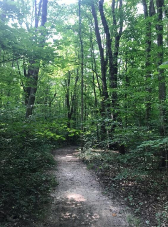 0 Warren Woods Road Lakeside, MI 49116 - Photo 13 of 17