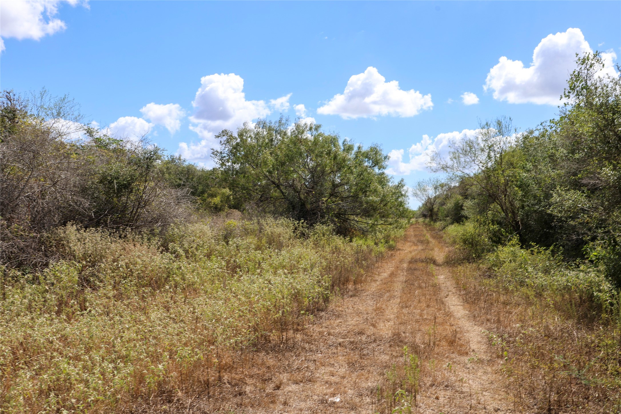 Tbd Parsons Road Victoria, TX 77904 - Photo 4 of 24 Gallery Image 4