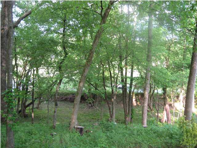 679 Dug Road Ringgold, GA 30736 - Photo 2 of 2 Additional Photo