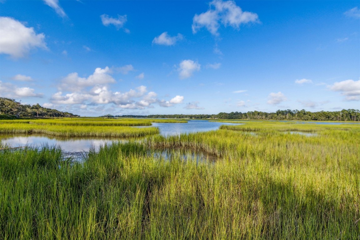 96282 Windsor Drive Yulee, FL 32097 - Photo 20 of 35 a view of a lake and a yard