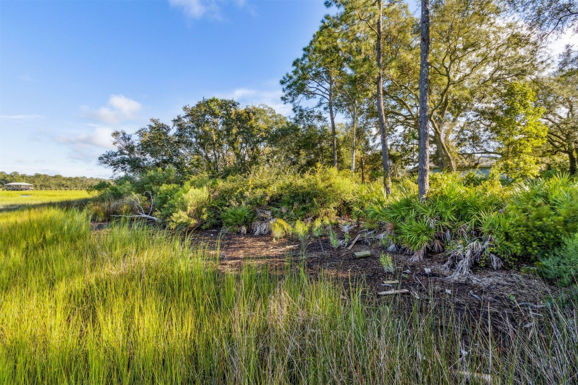 96282 Windsor Drive Yulee, FL 32097 - Photo 21 of 35 a view of a lake view with a garden