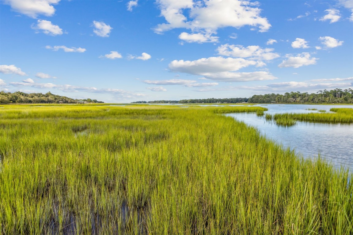 96282 Windsor Drive Yulee, FL 32097 - Photo 30 of 35 a view of a lake with a big yard