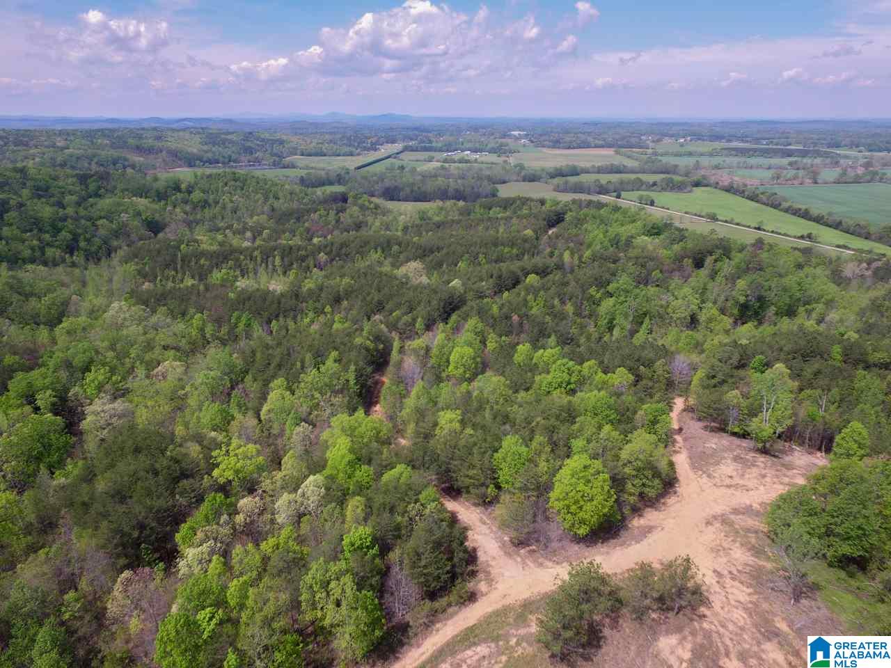 0 Henderson Lake Road, Unit 128 Munford, AL 36268 - Photo 29 of 31