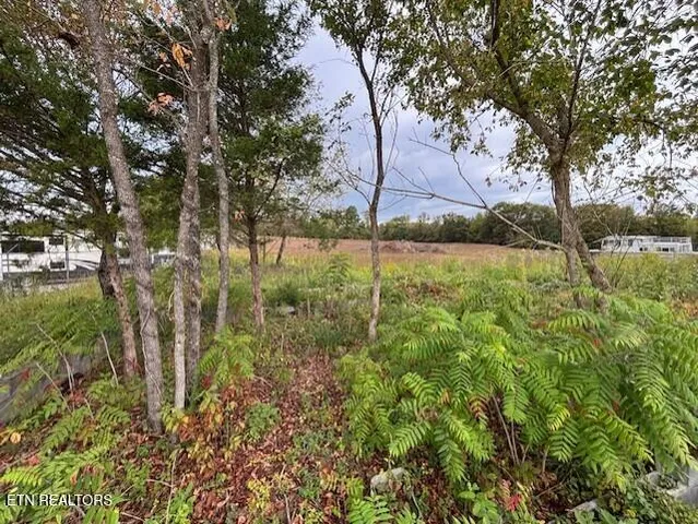 $975,000 | 346 West Dumplin Valley Road, Kodak, TN 37764