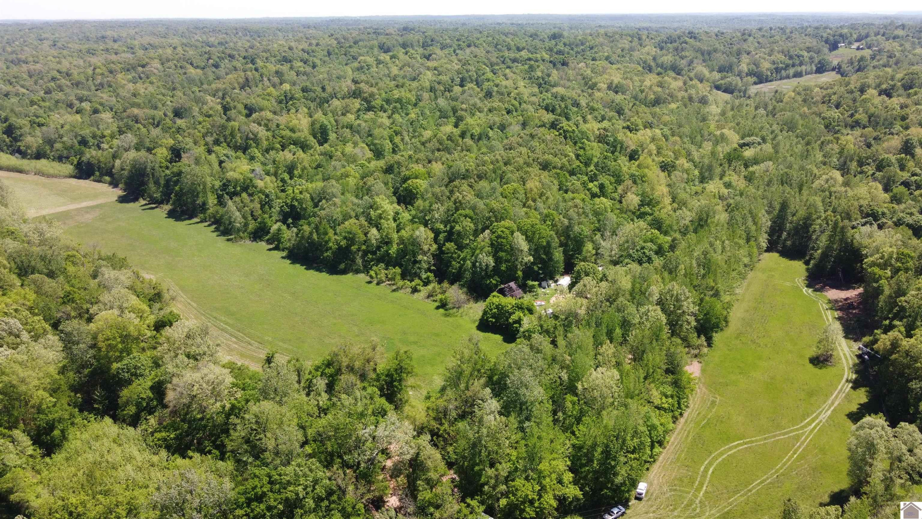1012 Friendship Road Eddyville, KY 42038 - Photo 1 of 5 Photo 1
