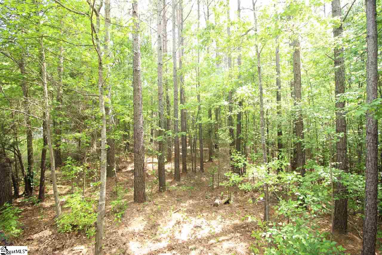 4936 Shady Grove Road Honea Path, SC 29654 - Photo 22 of 26