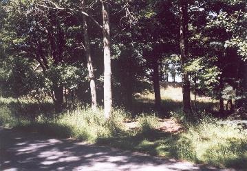 Fox Farm Road Frankfort, MI 49635 - Photo 3 of 3 Additional Photo