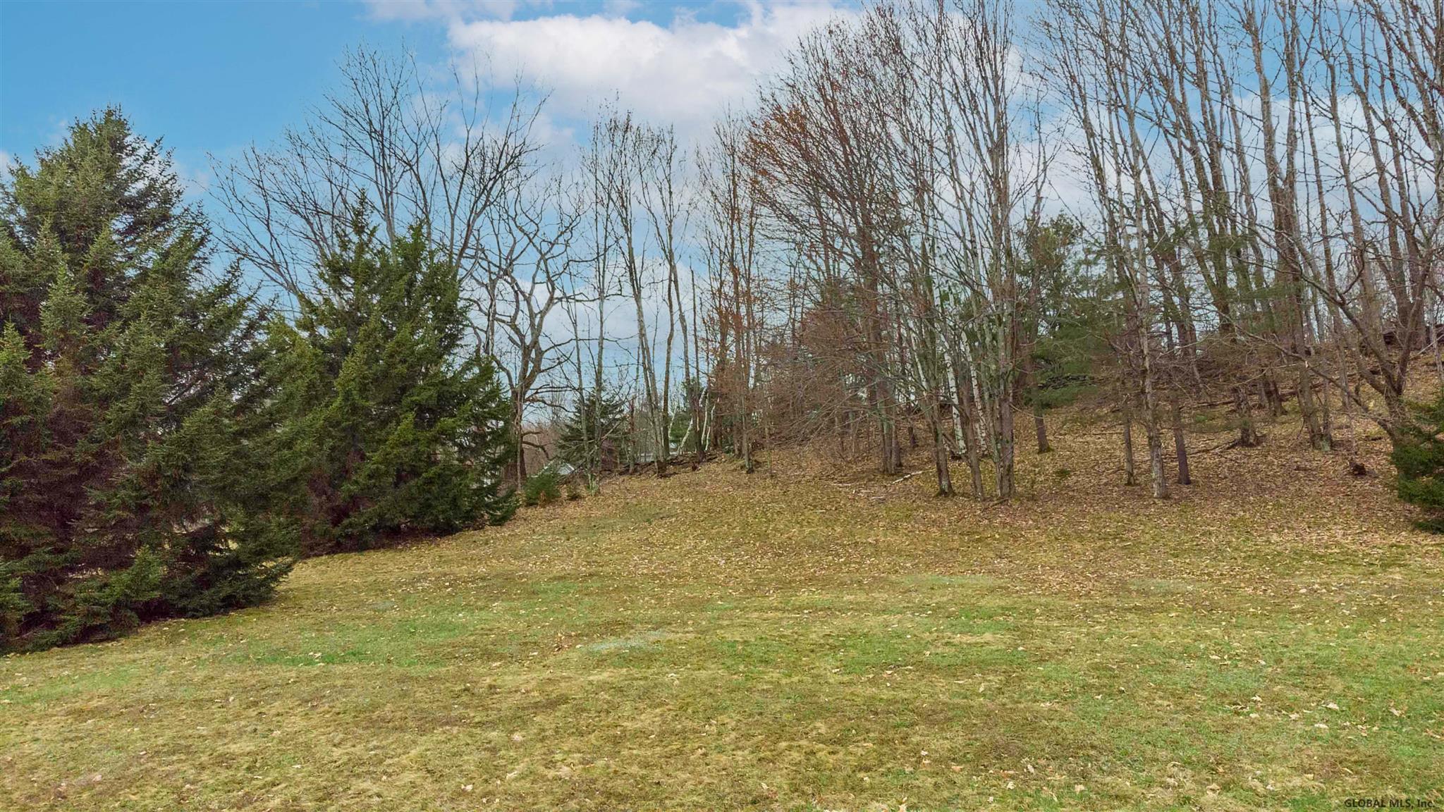 159 Eagle Mountain Road Summit, NY 12175 - Photo 32 of 49