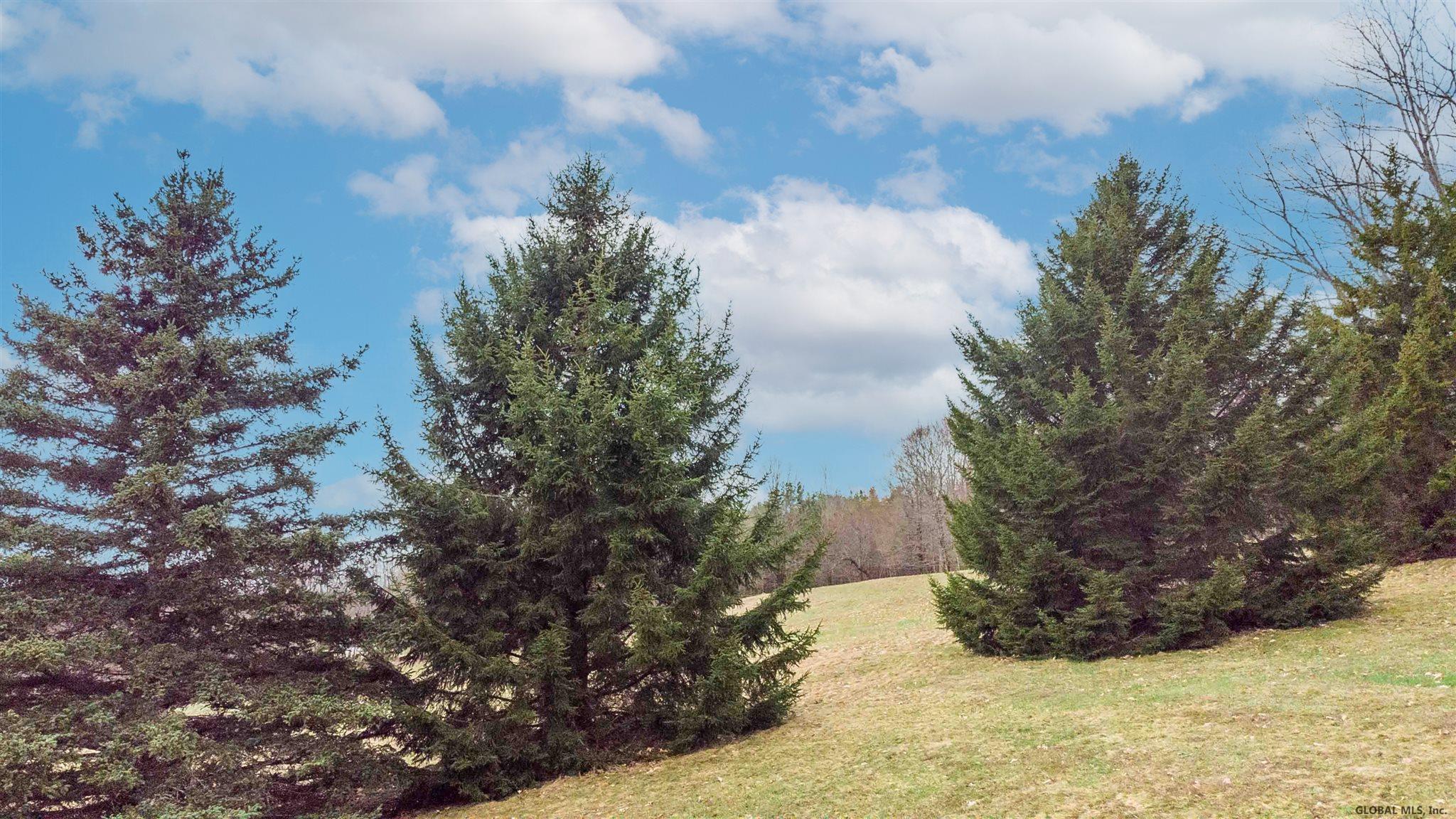 159 Eagle Mountain Road Summit, NY 12175 - Photo 33 of 49