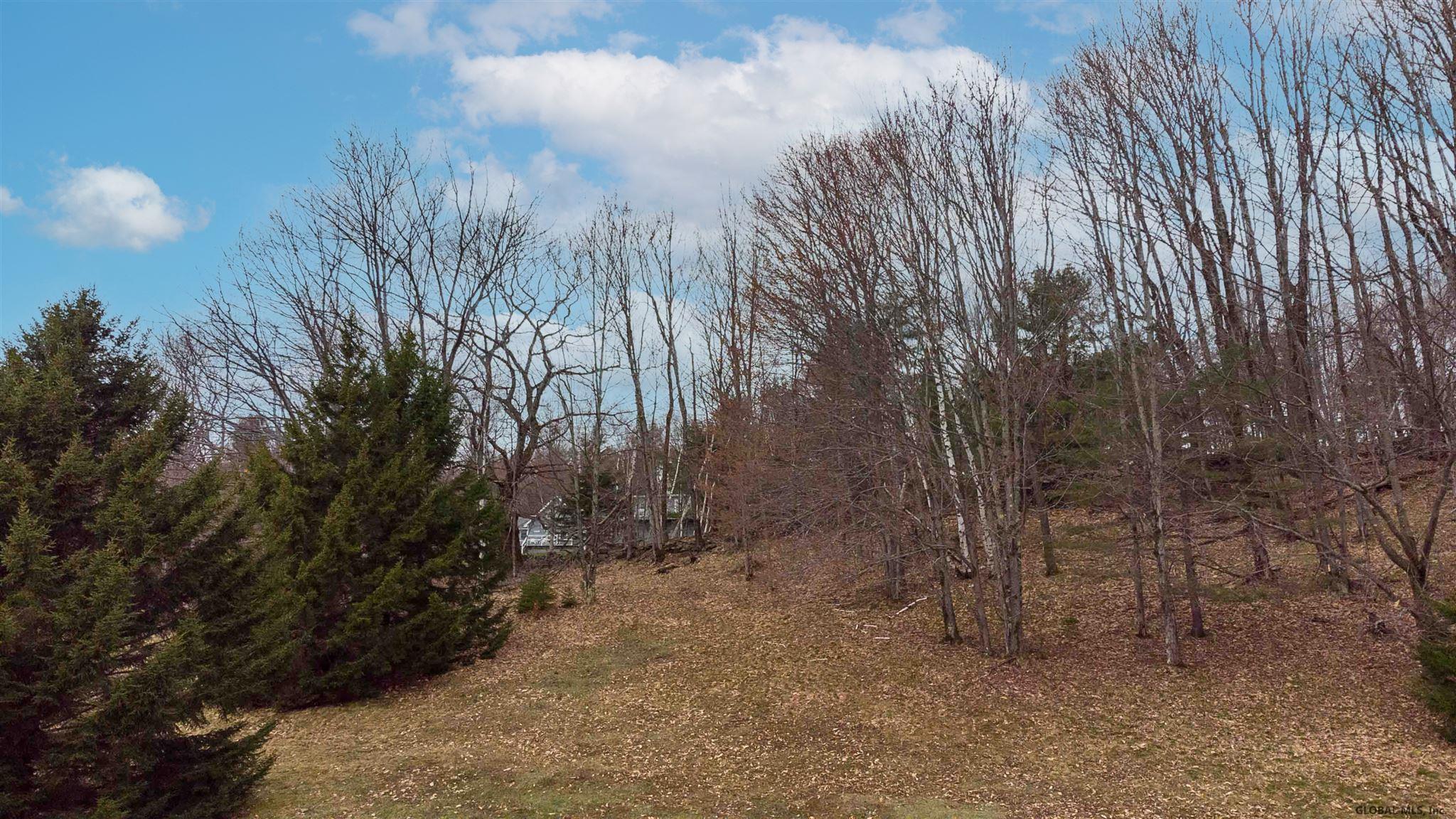 159 Eagle Mountain Road Summit, NY 12175 - Photo 34 of 49