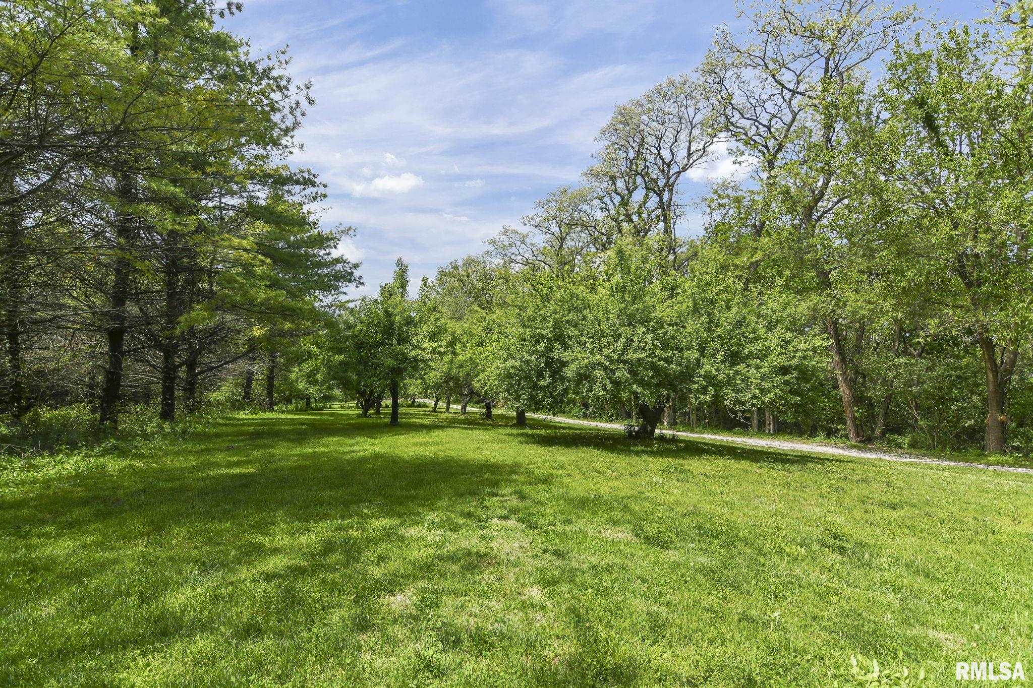 3410 Parks Lane Rochester, IL 62563 - Photo 54 of 63