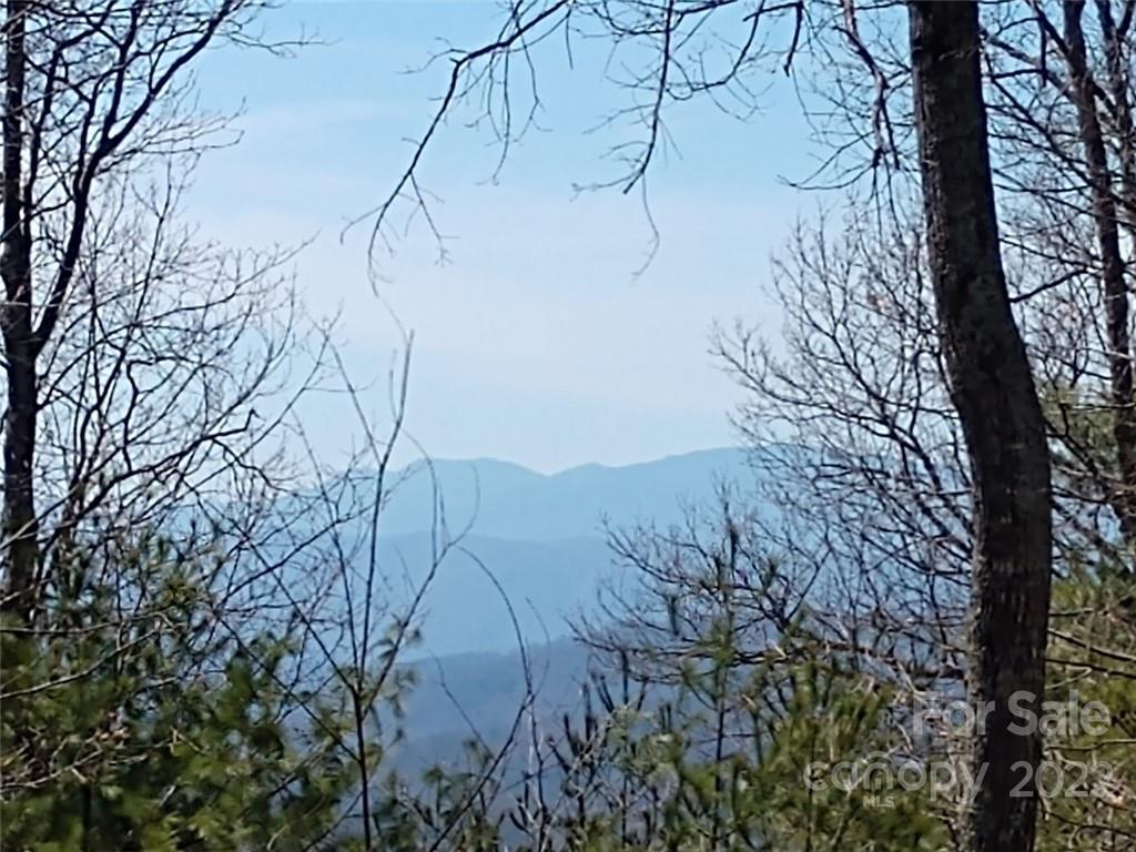 0 Fox Ridge Trail, Unit 46 Marion, NC 28752 - Photo 1 of 41 Gallery Image 1