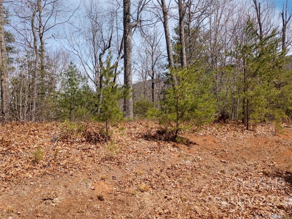 0 Fox Ridge Trail, Unit 46 Marion, NC 28752 - Photo 11 of 41 Gallery Image 11