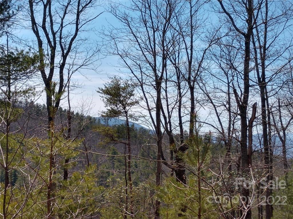 0 Fox Ridge Trail, Unit 46 Marion, NC 28752 - Photo 13 of 41 Gallery Image 13