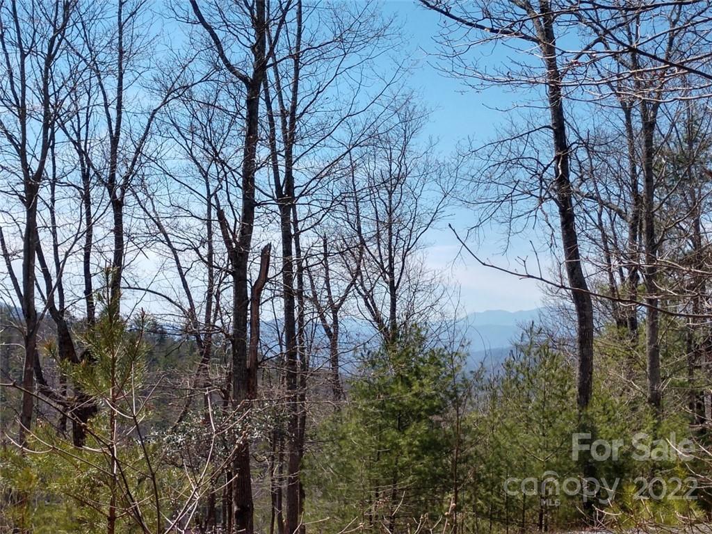 0 Fox Ridge Trail, Unit 46 Marion, NC 28752 - Photo 14 of 41 Gallery Image 14