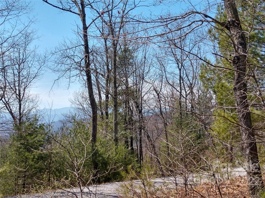 0 Fox Ridge Trail, Unit 46 Marion, NC 28752 - Photo 15 of 41 Gallery Image 15