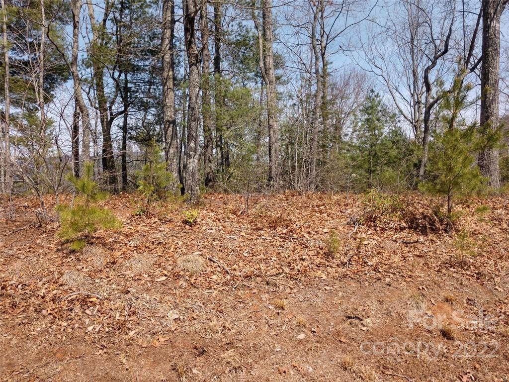 0 Fox Ridge Trail, Unit 46 Marion, NC 28752 - Photo 19 of 41 Gallery Image 19