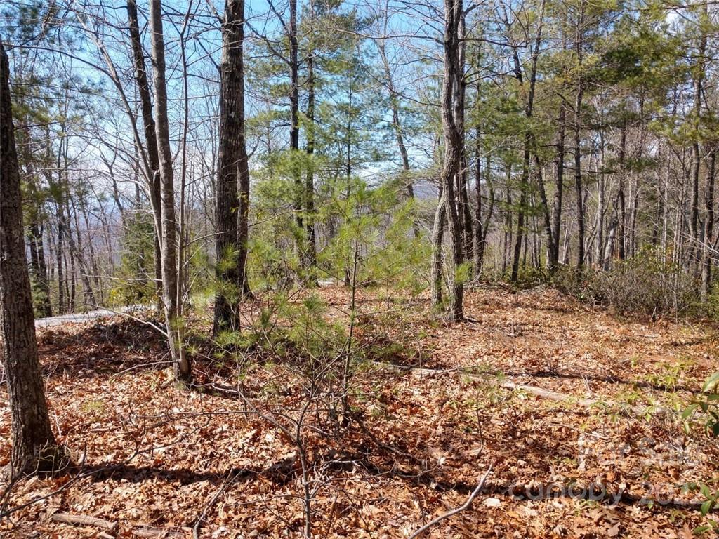 0 Fox Ridge Trail, Unit 46 Marion, NC 28752 - Photo 20 of 41 Gallery Image 20