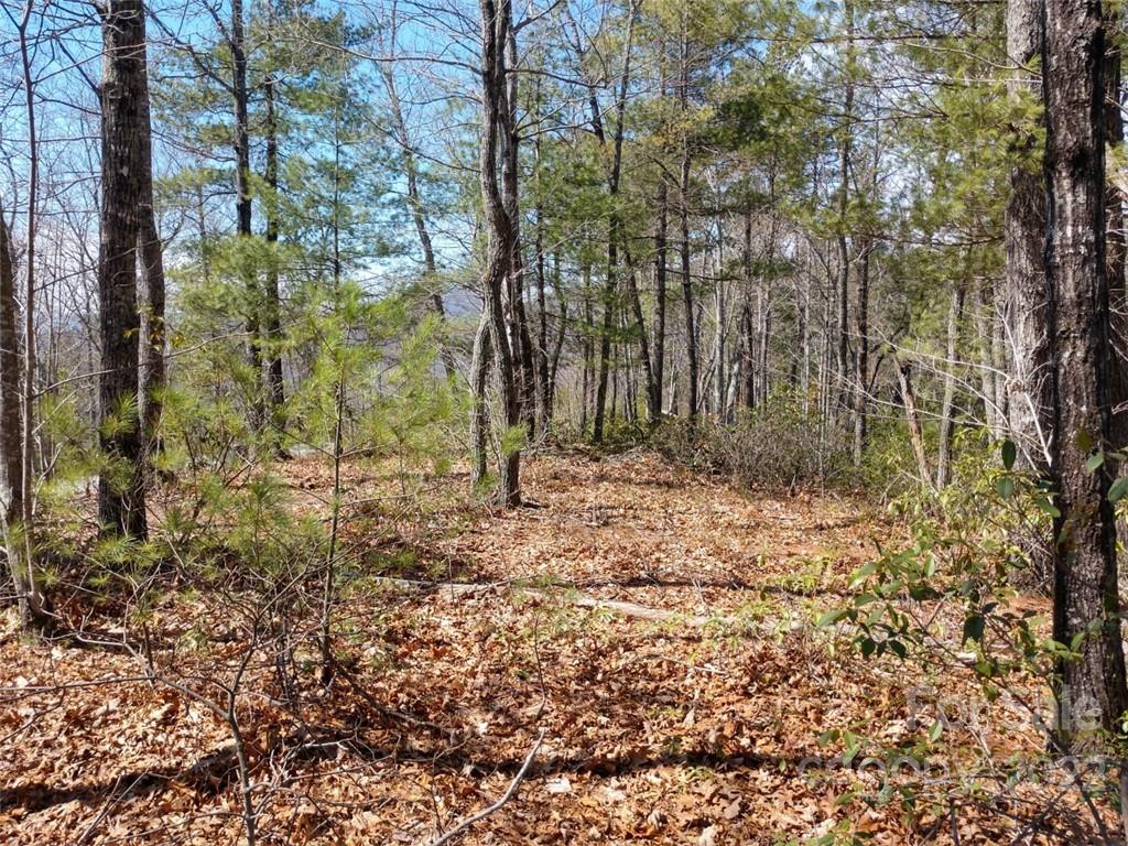 0 Fox Ridge Trail, Unit 46 Marion, NC 28752 - Photo 21 of 41 Gallery Image 21