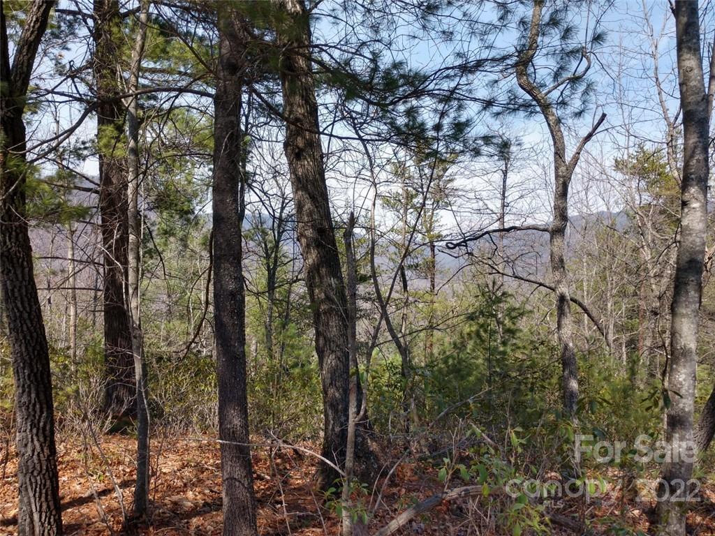 0 Fox Ridge Trail, Unit 46 Marion, NC 28752 - Photo 22 of 41 Gallery Image 22