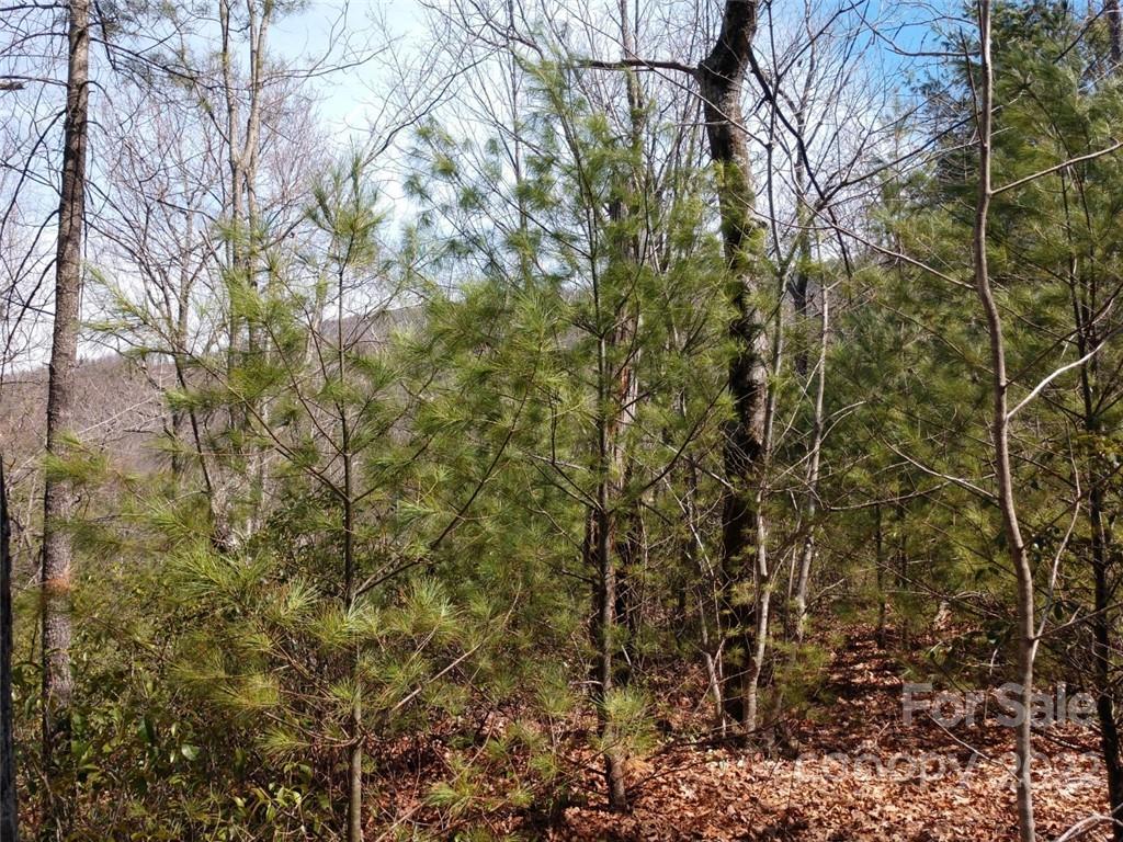 0 Fox Ridge Trail, Unit 46 Marion, NC 28752 - Photo 23 of 41 Gallery Image 23