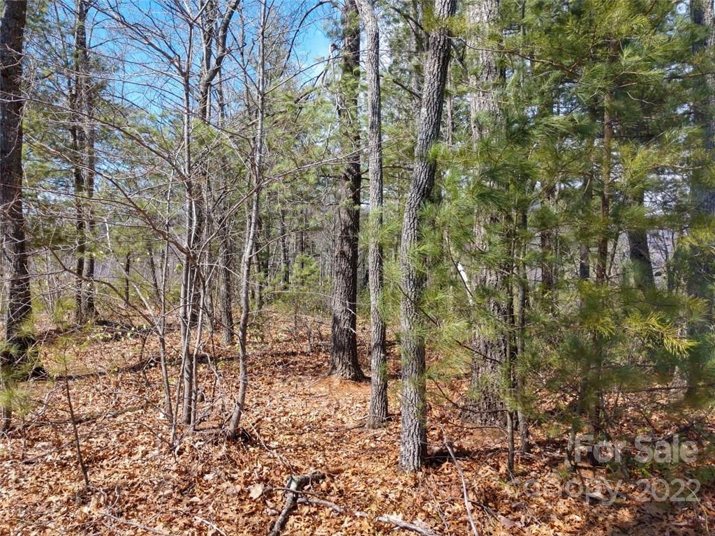 0 Fox Ridge Trail, Unit 46 Marion, NC 28752 - Photo 24 of 41 Gallery Image 24