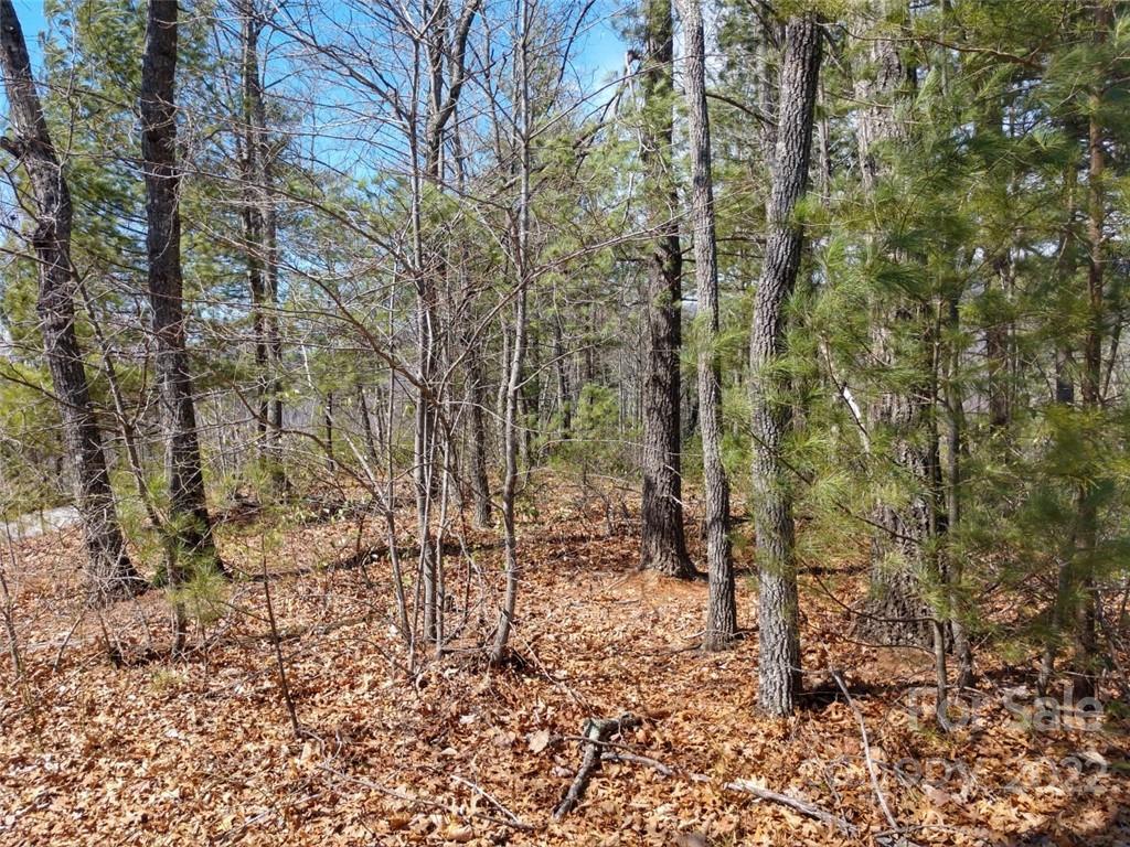 0 Fox Ridge Trail, Unit 46 Marion, NC 28752 - Photo 25 of 41 Gallery Image 25