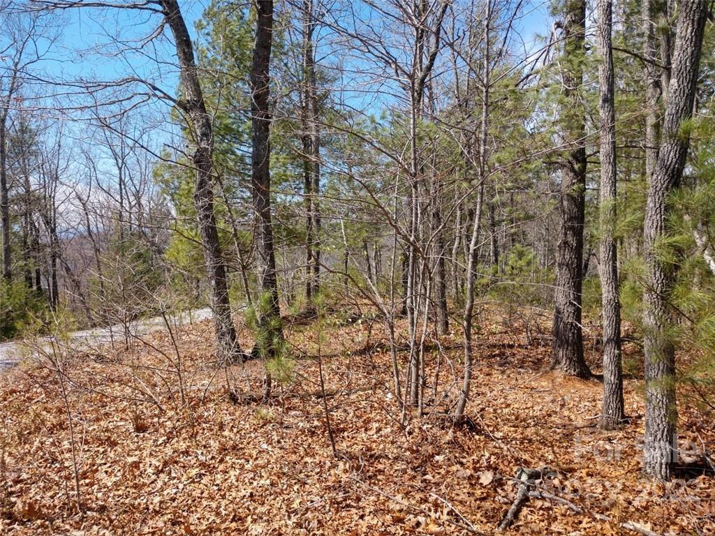 0 Fox Ridge Trail, Unit 46 Marion, NC 28752 - Photo 26 of 41 Gallery Image 26