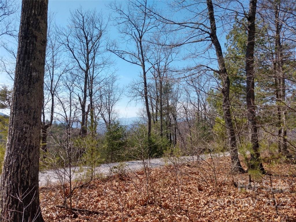 0 Fox Ridge Trail, Unit 46 Marion, NC 28752 - Photo 27 of 41 Gallery Image 27