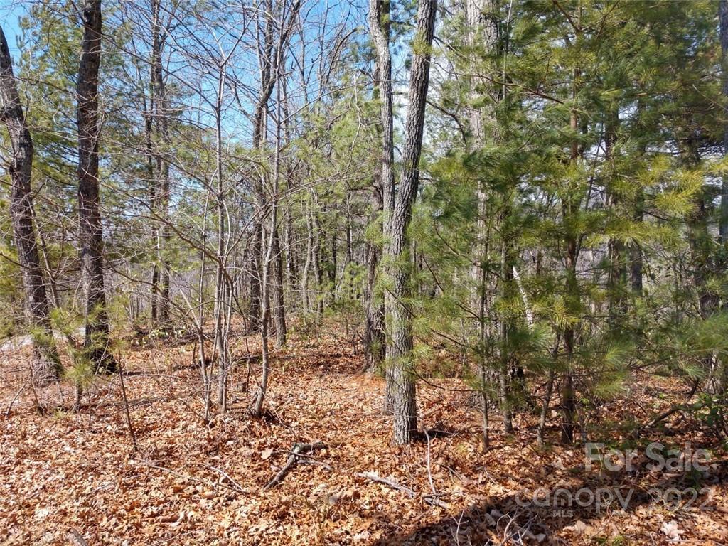 0 Fox Ridge Trail, Unit 46 Marion, NC 28752 - Photo 28 of 41 Gallery Image 28