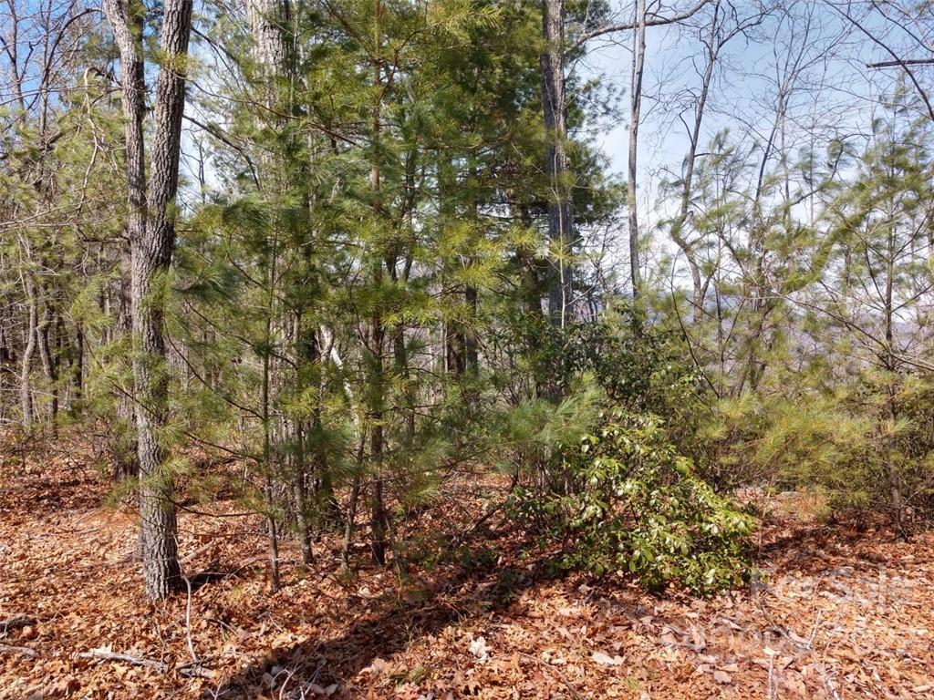 0 Fox Ridge Trail, Unit 46 Marion, NC 28752 - Photo 30 of 41 Gallery Image 30