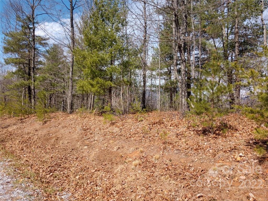 0 Fox Ridge Trail, Unit 46 Marion, NC 28752 - Photo 3 of 41 Gallery Image 3