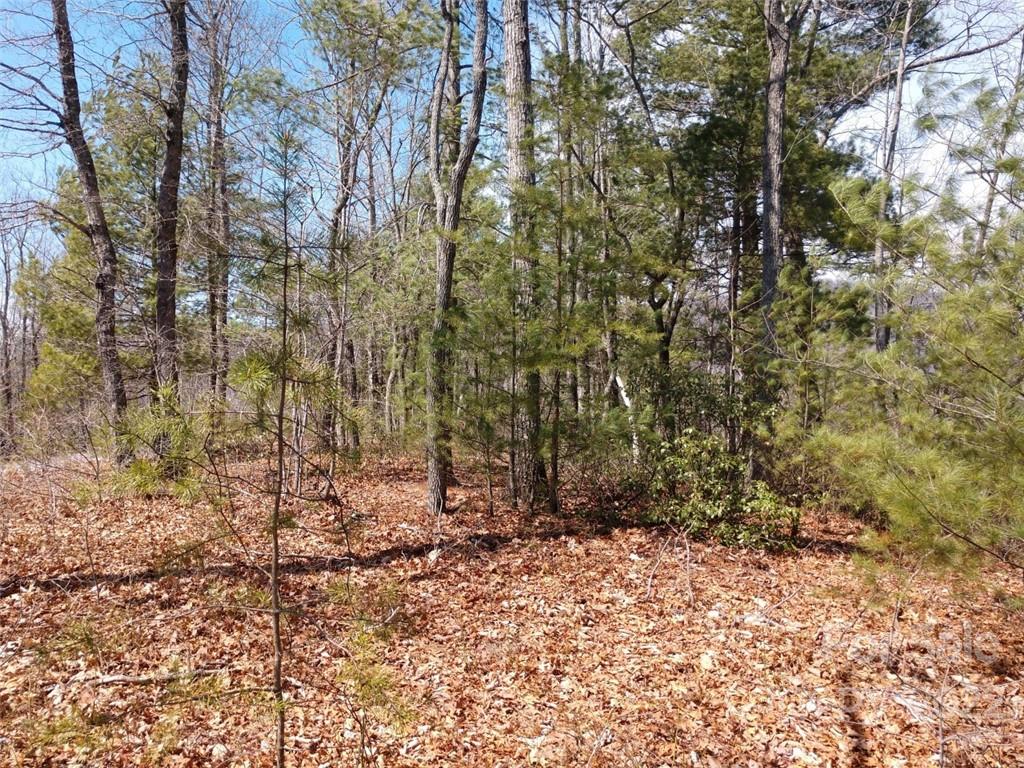 0 Fox Ridge Trail, Unit 46 Marion, NC 28752 - Photo 31 of 41 Gallery Image 31