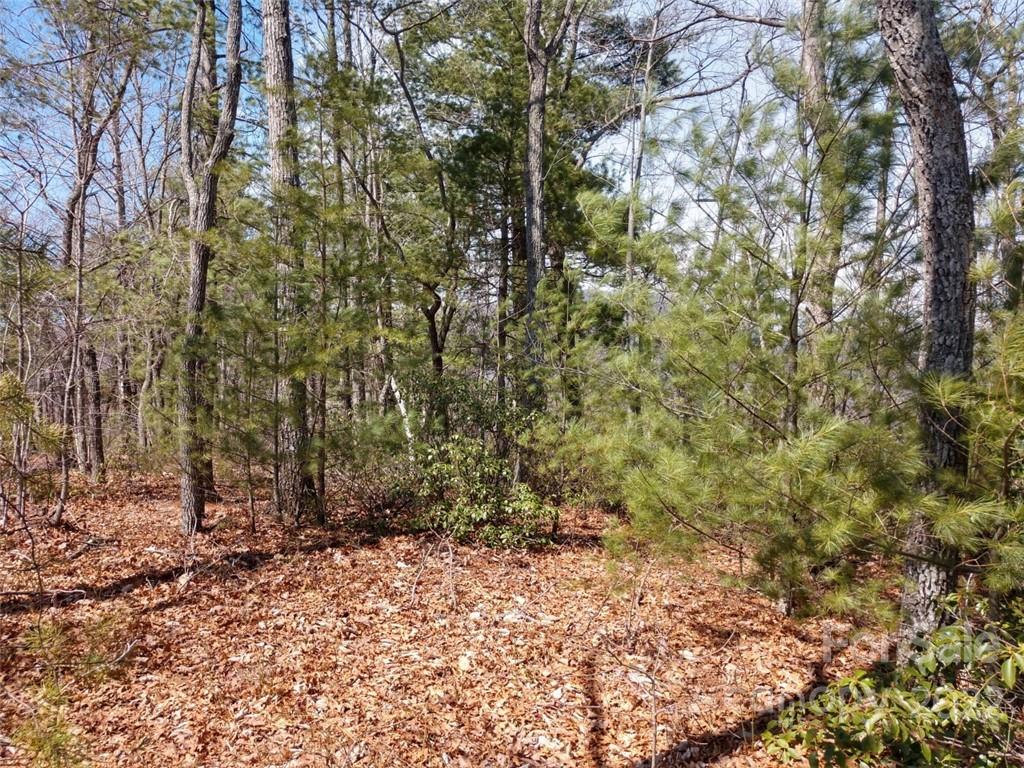 0 Fox Ridge Trail, Unit 46 Marion, NC 28752 - Photo 32 of 41 Gallery Image 32