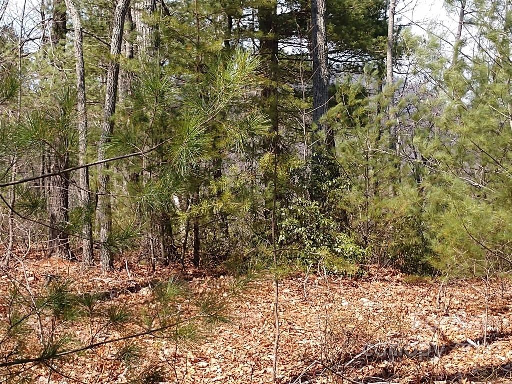 0 Fox Ridge Trail, Unit 46 Marion, NC 28752 - Photo 33 of 41 Gallery Image 33