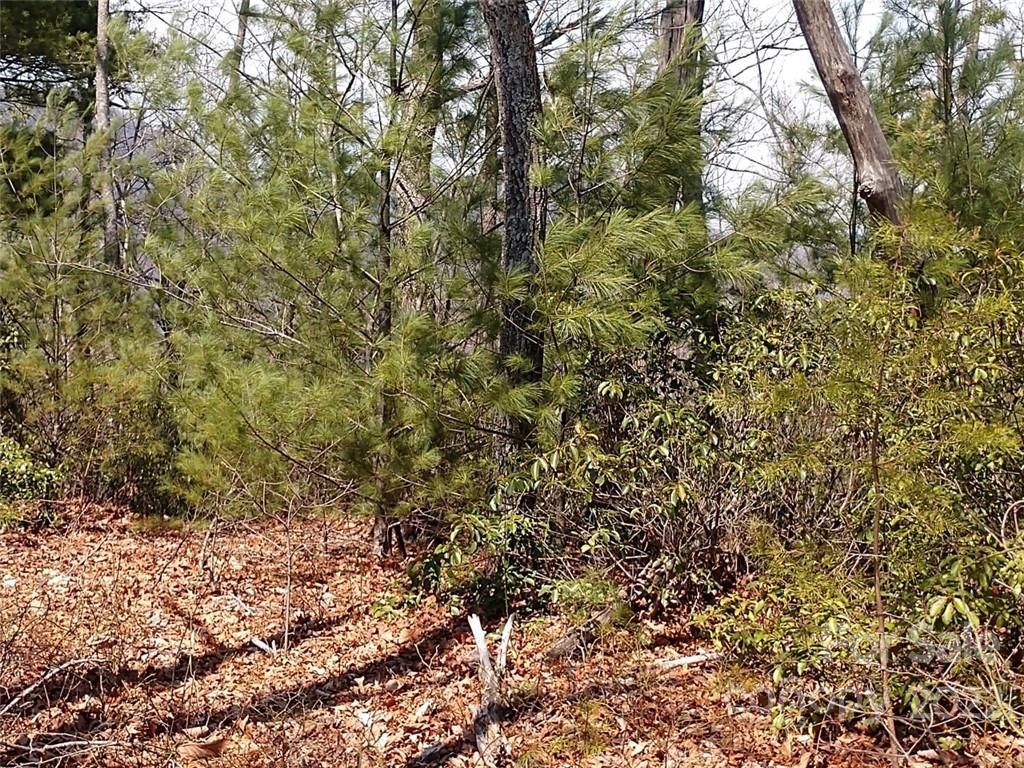 0 Fox Ridge Trail, Unit 46 Marion, NC 28752 - Photo 34 of 41 Gallery Image 34