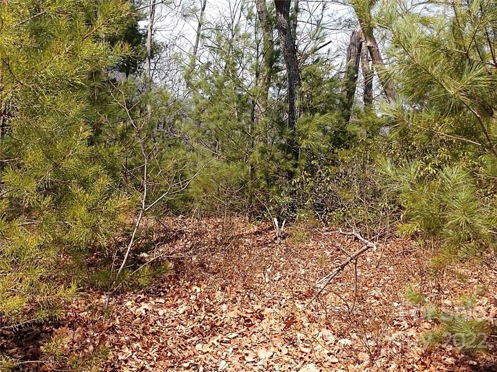 0 Fox Ridge Trail, Unit 46 Marion, NC 28752 - Photo 35 of 41 Gallery Image 35