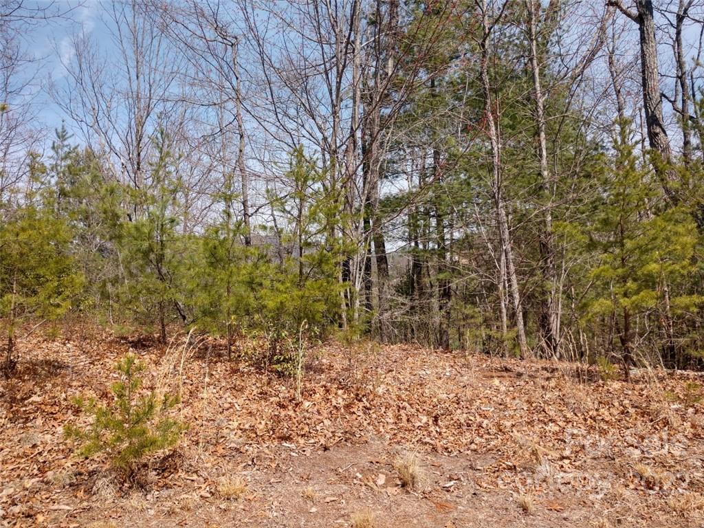 0 Fox Ridge Trail, Unit 46 Marion, NC 28752 - Photo 36 of 41 Gallery Image 36
