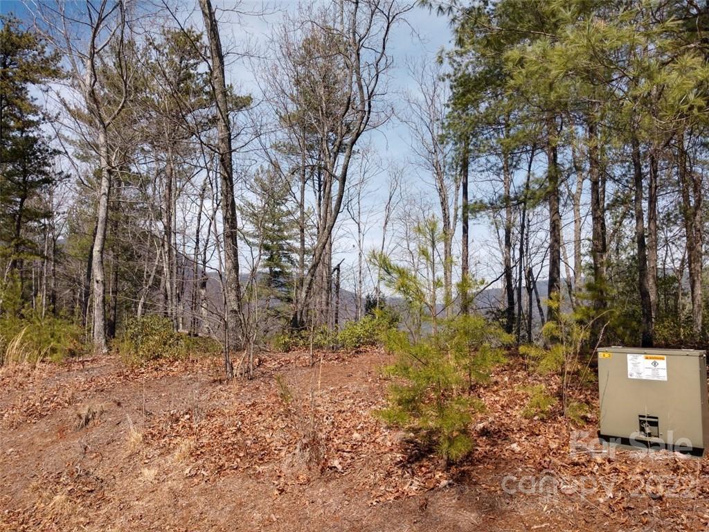 0 Fox Ridge Trail, Unit 46 Marion, NC 28752 - Photo 38 of 41 Gallery Image 38