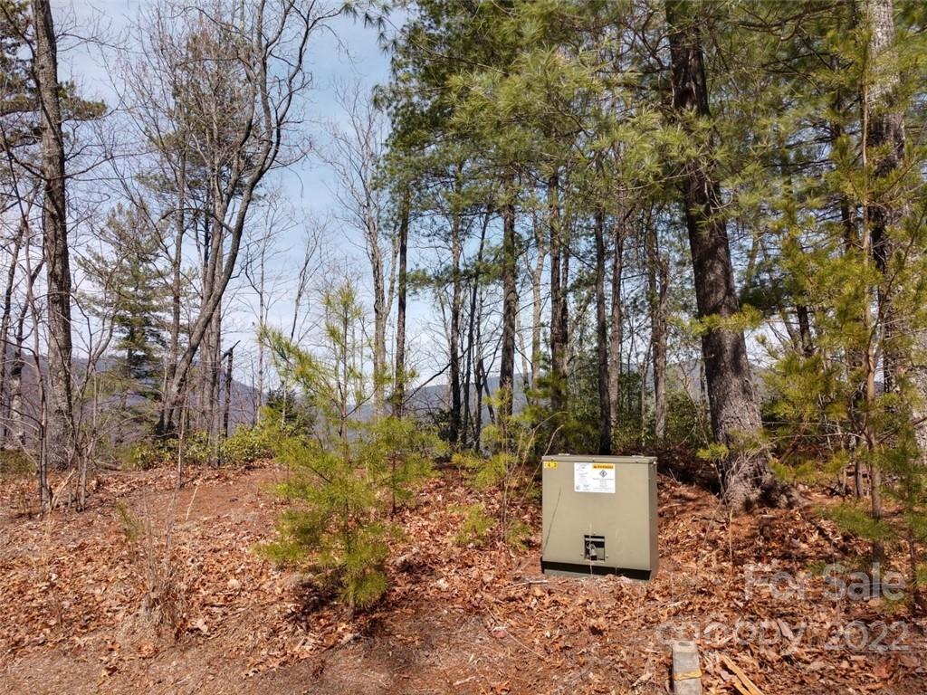 0 Fox Ridge Trail, Unit 46 Marion, NC 28752 - Photo 39 of 41 Gallery Image 39