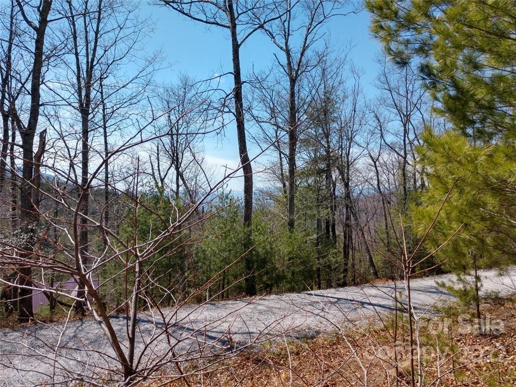 0 Fox Ridge Trail, Unit 46 Marion, NC 28752 - Photo 40 of 41 Gallery Image 40
