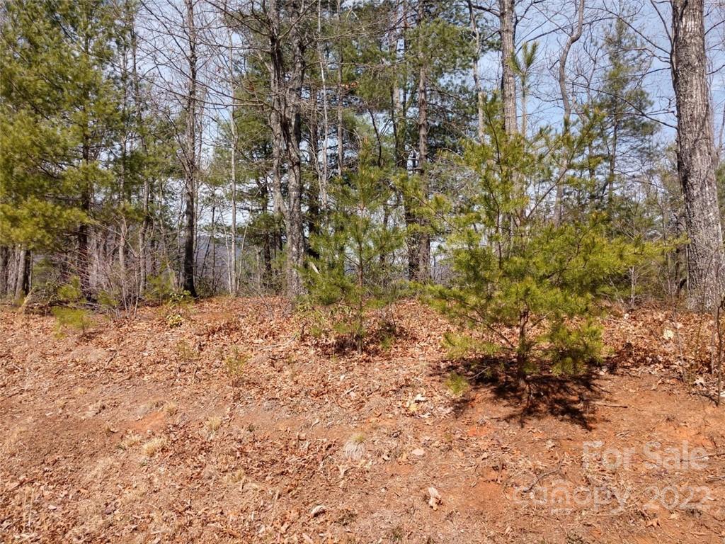 0 Fox Ridge Trail, Unit 46 Marion, NC 28752 - Photo 4 of 41 Gallery Image 4