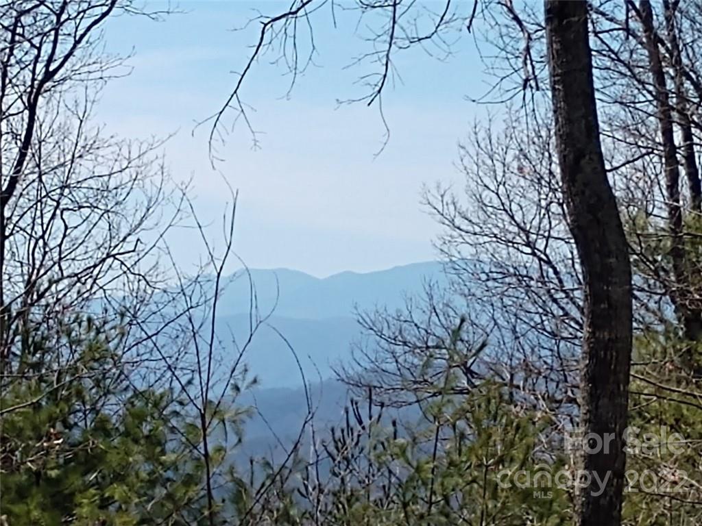 0 Fox Ridge Trail, Unit 46 Marion, NC 28752 - Photo 41 of 41 Gallery Image 41