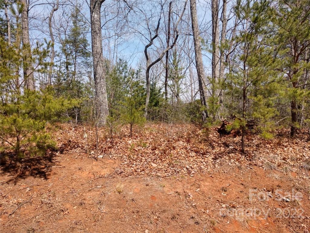 0 Fox Ridge Trail, Unit 46 Marion, NC 28752 - Photo 5 of 41 Gallery Image 5