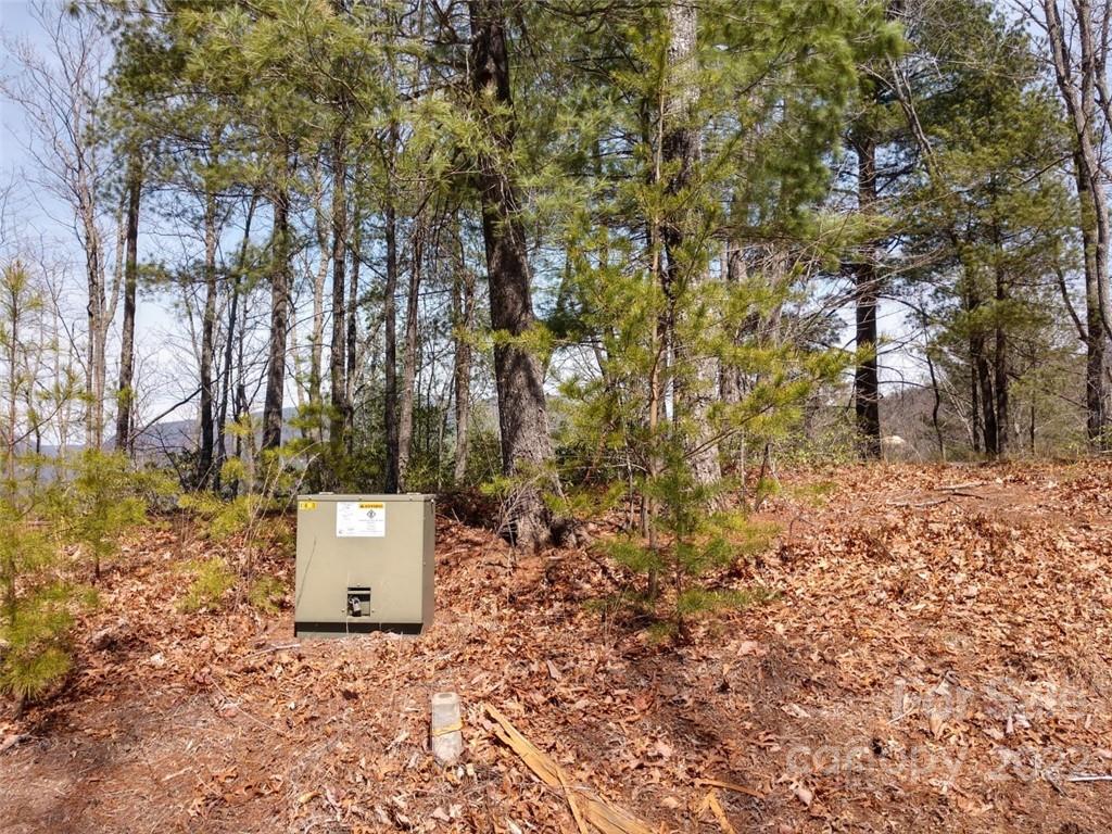 0 Fox Ridge Trail, Unit 46 Marion, NC 28752 - Photo 6 of 41 Gallery Image 6