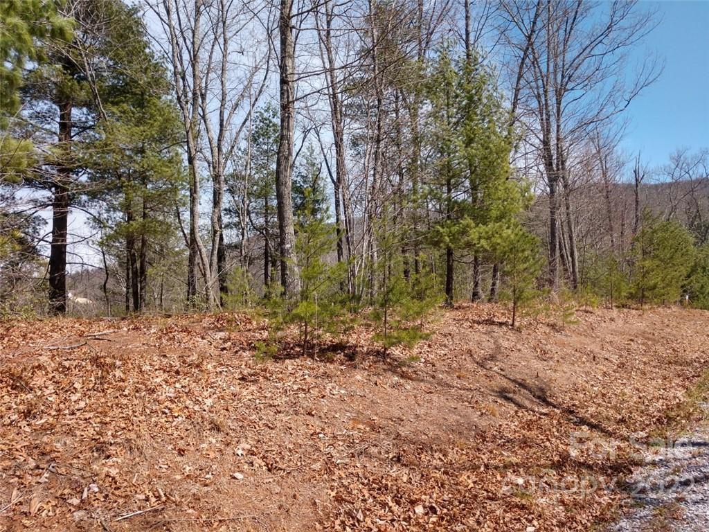 0 Fox Ridge Trail, Unit 46 Marion, NC 28752 - Photo 7 of 41 Gallery Image 7