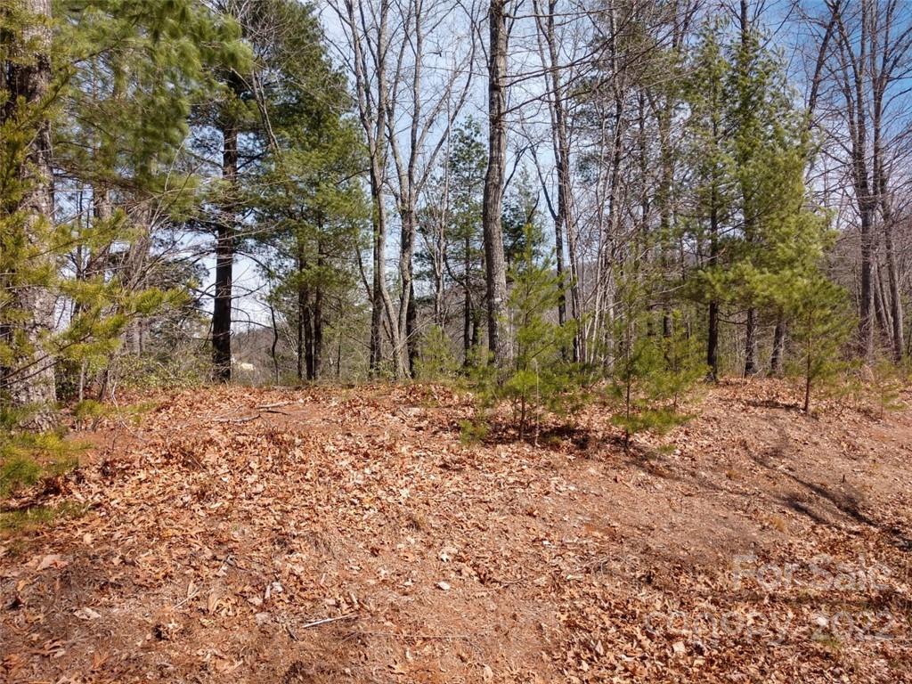 0 Fox Ridge Trail, Unit 46 Marion, NC 28752 - Photo 8 of 41 Gallery Image 8