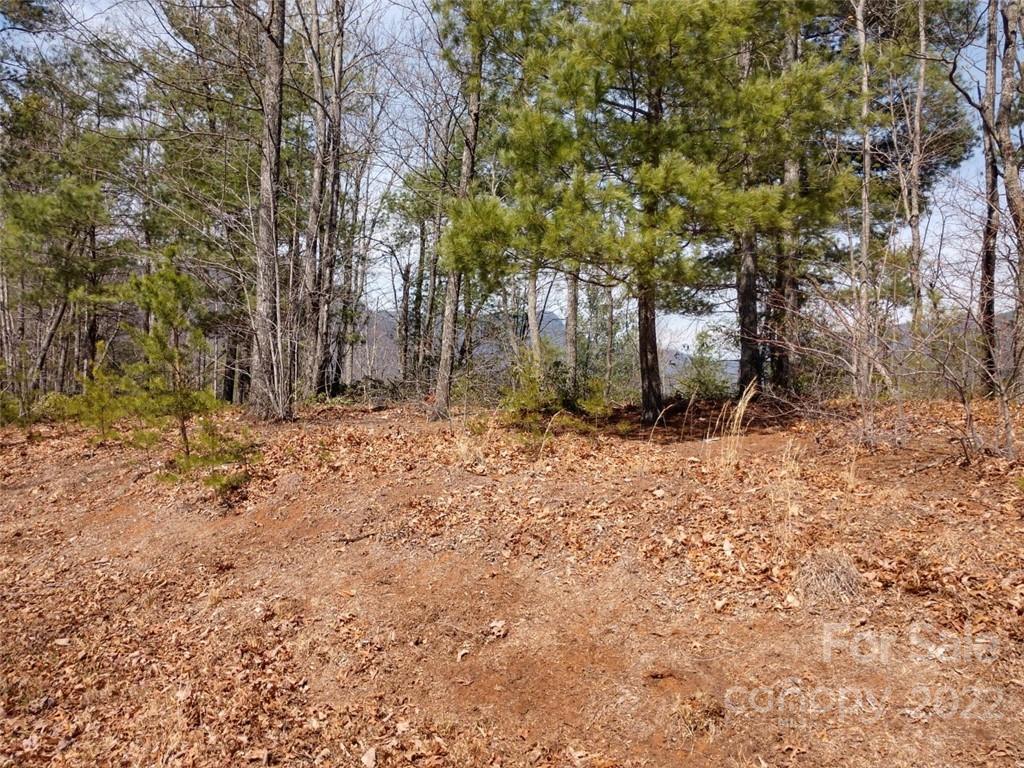 0 Fox Ridge Trail, Unit 46 Marion, NC 28752 - Photo 10 of 41 Gallery Image 10