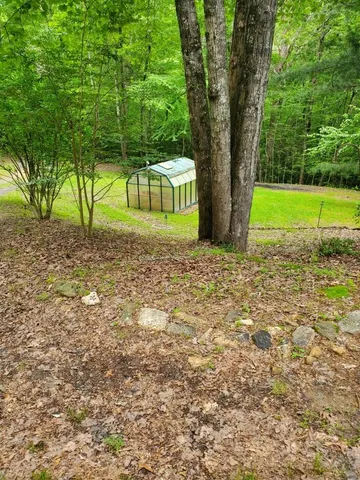 a view of a yard with a tree